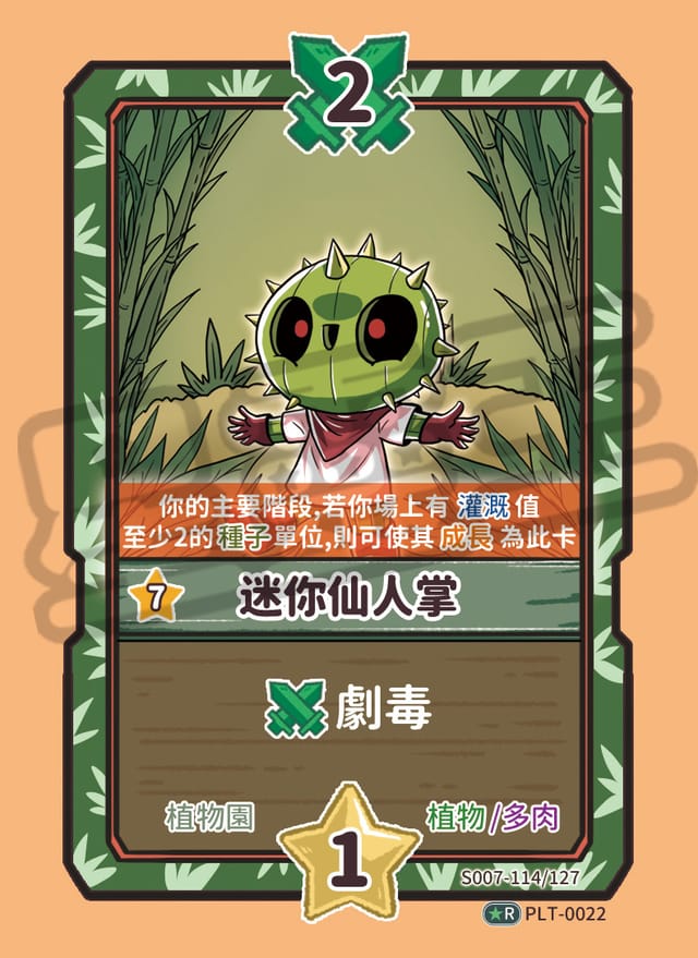 迷你仙人掌